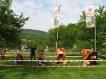 IMG_8192.jpg