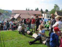 IMG_8256.jpg