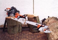 img00007.jpg