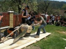 img00022.jpg