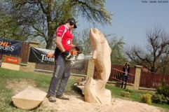 img00019.jpg